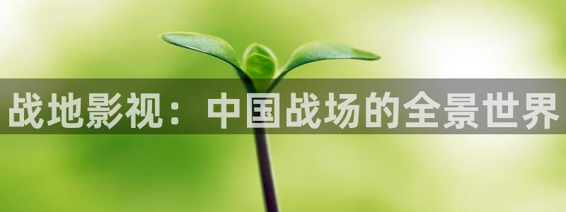 樱桃视频官网下载app
