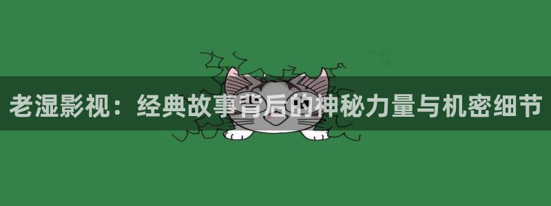 樱桃视频官网入口下载