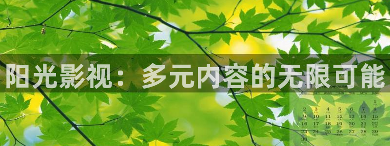 樱桃视频大