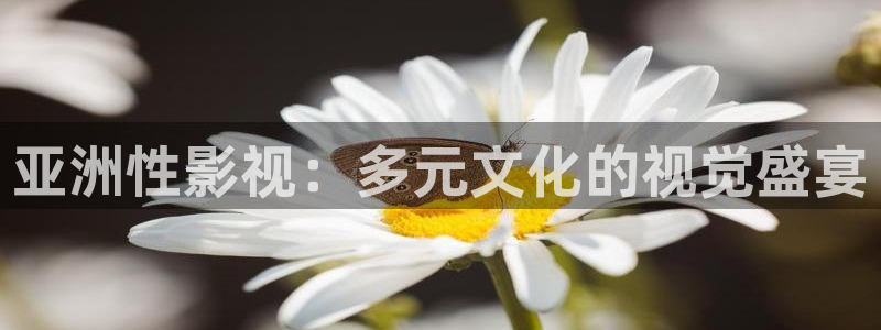 樱桃视频破解