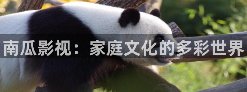 樱桃视频更懂你