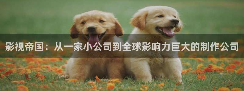 樱桃视频app看黄