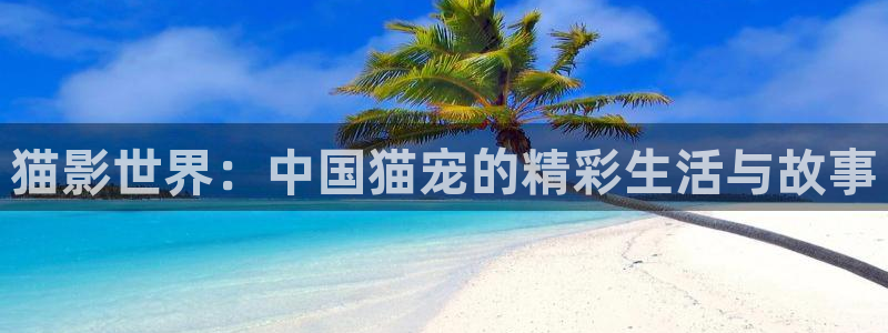 樱桃视频app下载直播